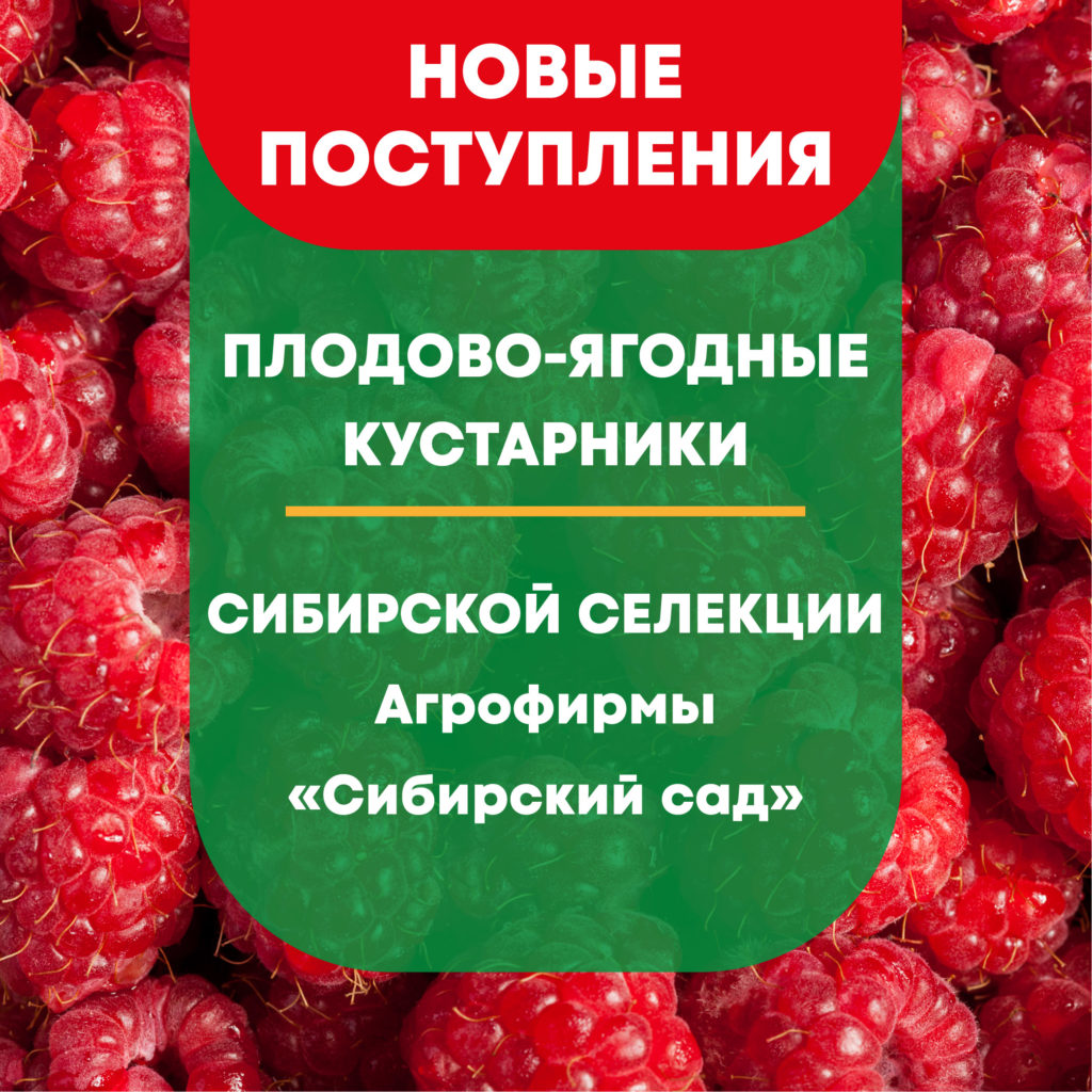 Новые поступления: Плодово-ягодные кустарники • СадиСам